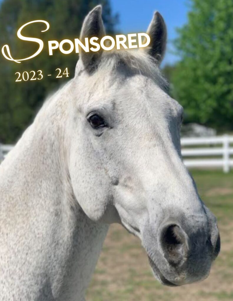 Head Shot of Horse Named Riley Sponsored 2023 - 24