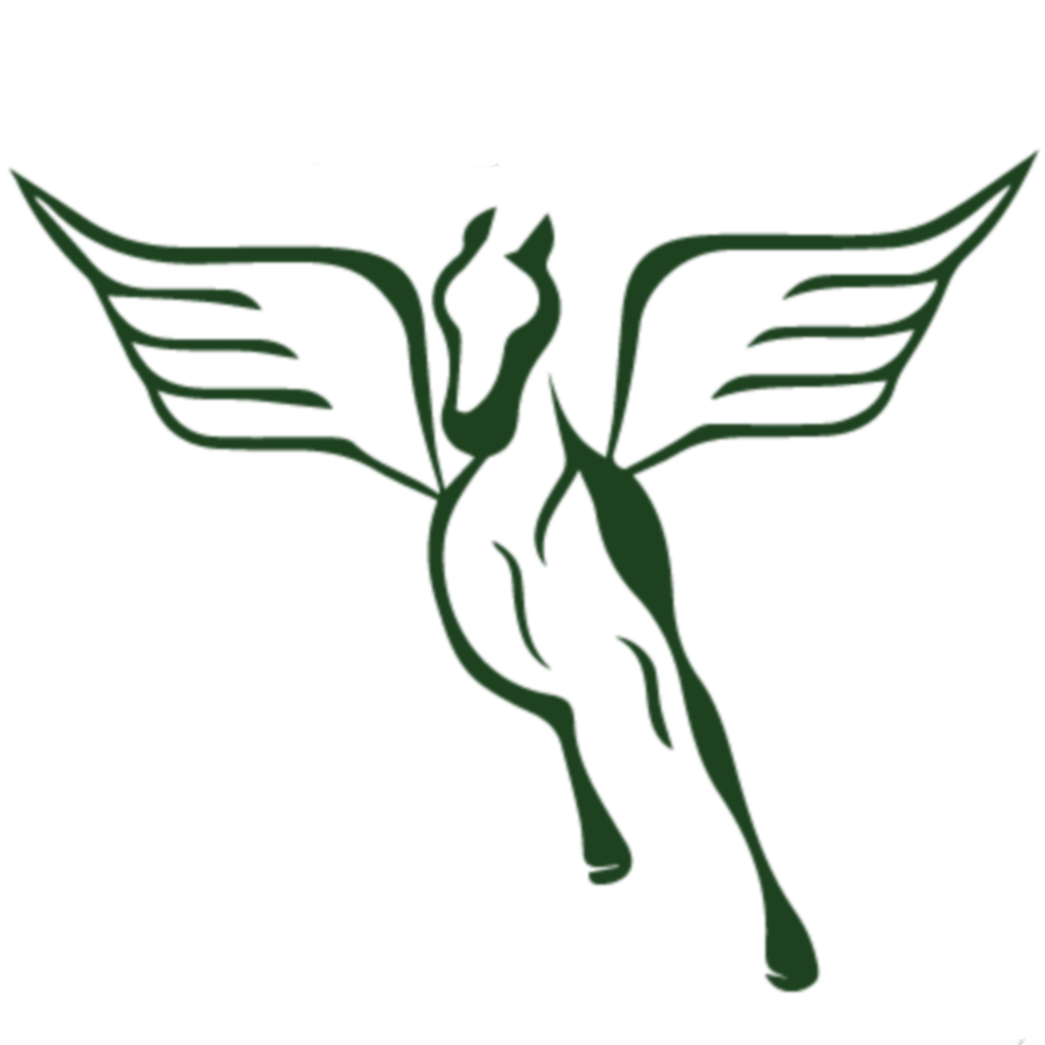 Ottawa Therapeutic Riding