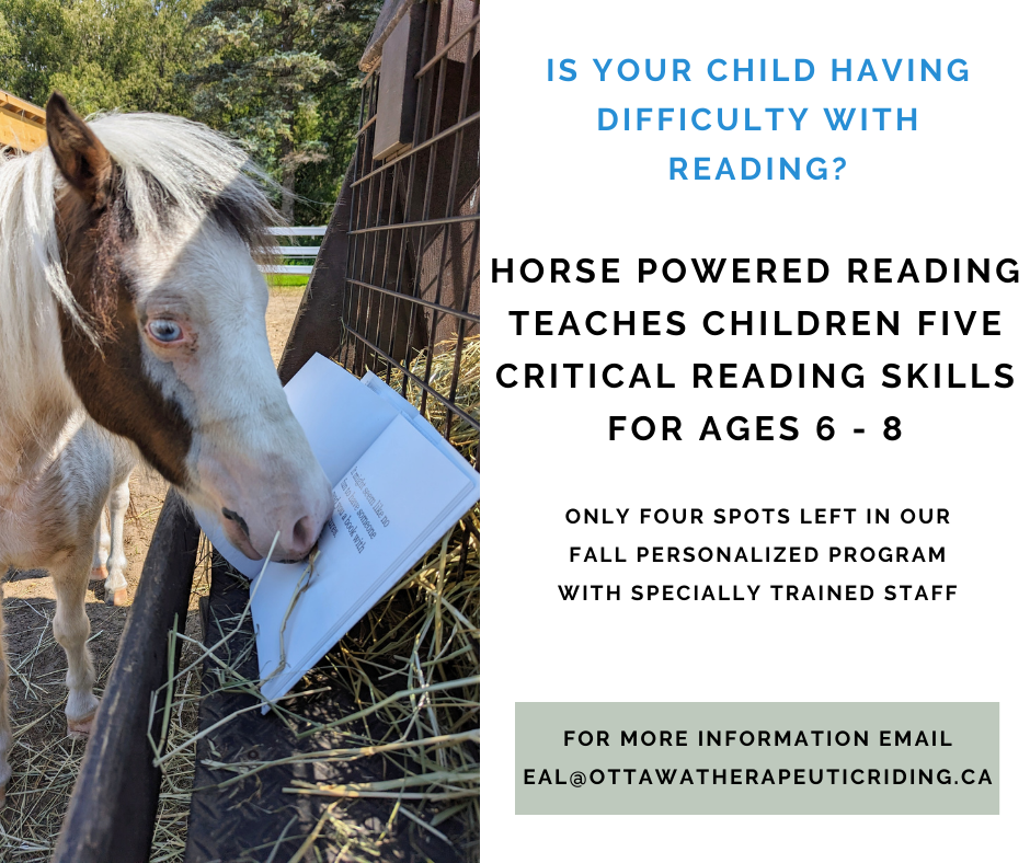 Mini Horse with Nose in Book Advertising Horse Powered Reading
