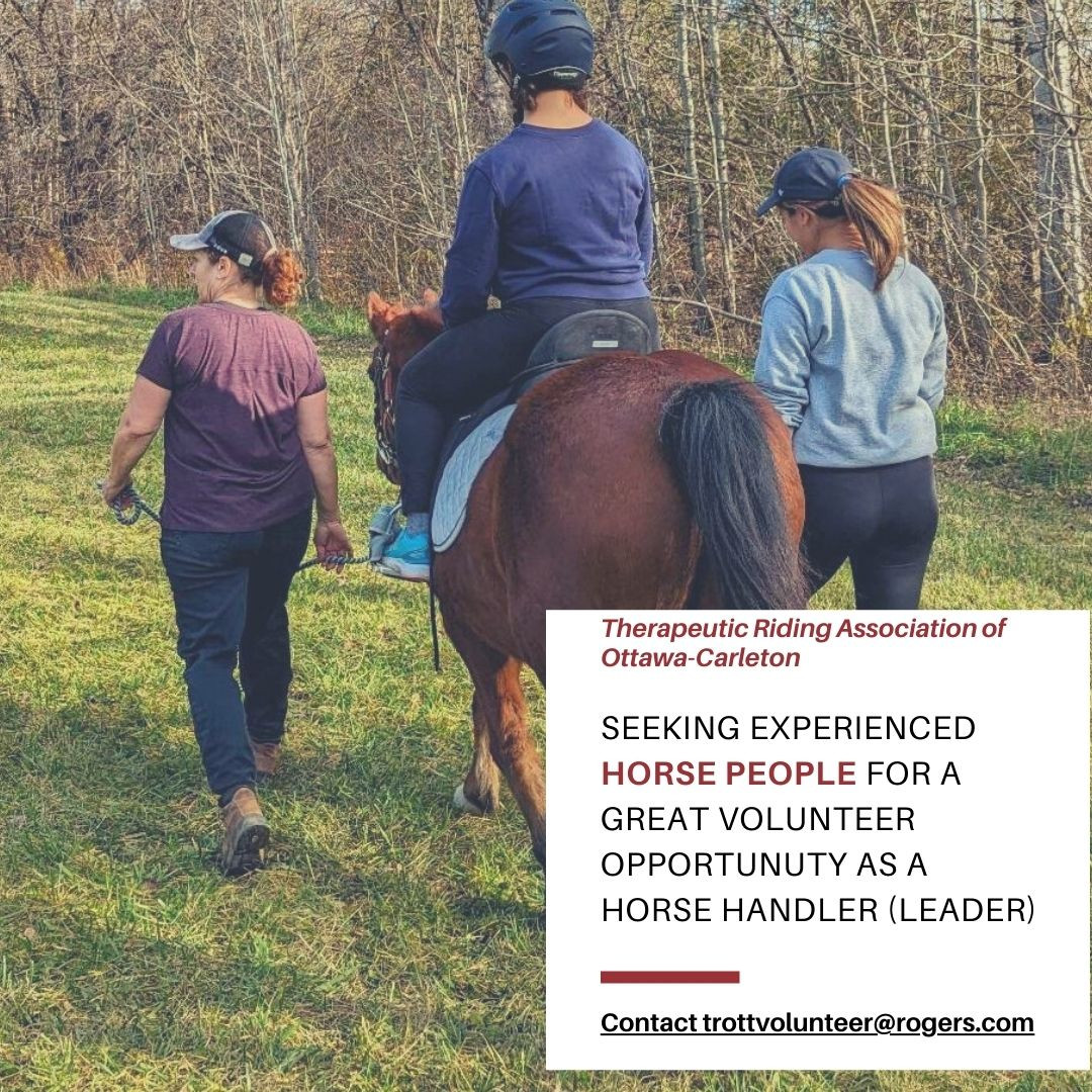 Call for volunteer horse handlers, with picture of horse rider and horse handler