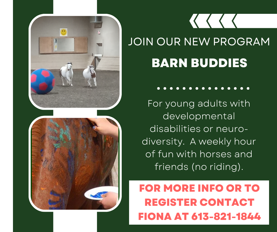 Flyer About Barn Buddies Group Program for Young Adults with Developmental Disabilities