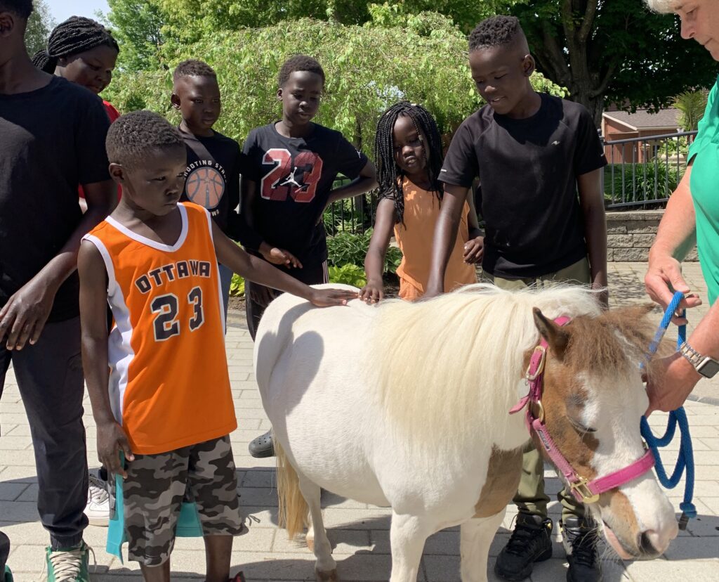 Children surrounding a miniature brown and white horse. Many of the children have their hand on the horse and they have curious expressions.
