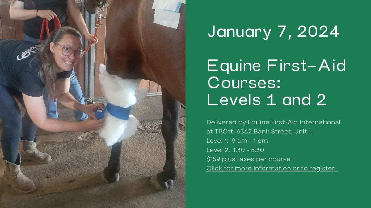Advertisement for Equine First Aid Courses Jan 7 2024